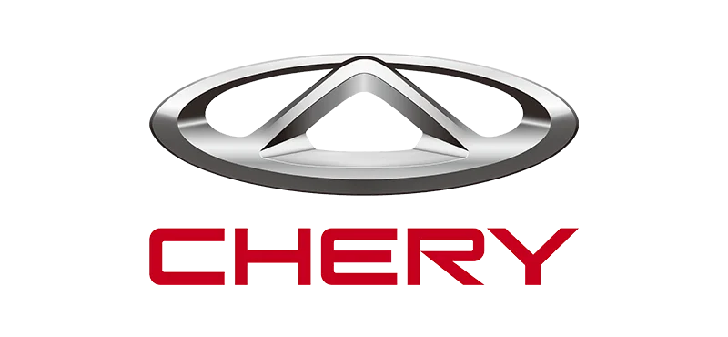 cherry Renex engine valve manufacturer