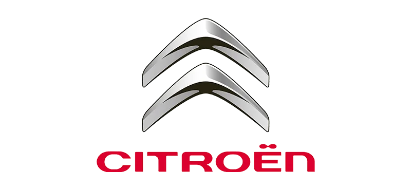 citroen Renex engine valve manufacturer