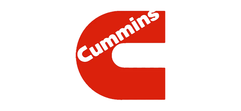 cumins -renex engine valves