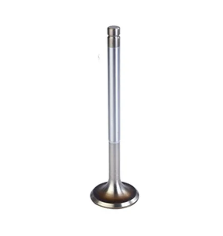 engine valves-renex engine valves