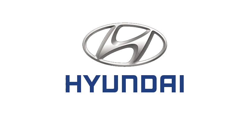 hyundai -renex engine valves