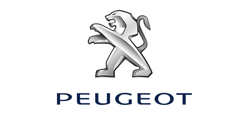 peugeot Renex engine valve manufacturer