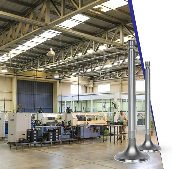 welome to renex engine valves